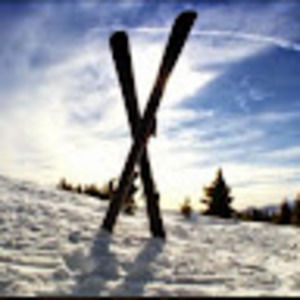 Meet your Posher, Madeline